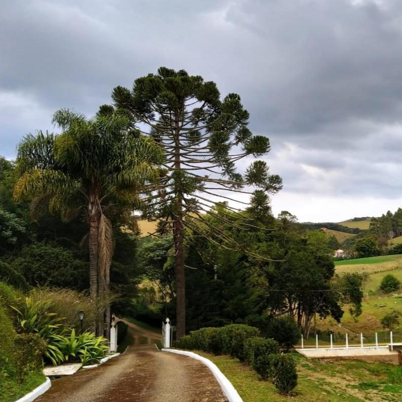Pousada Pedacinho Do Ceu Suite Izah Cunha Oda fotoğraf